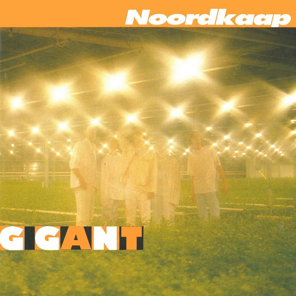 Picture of Gigant