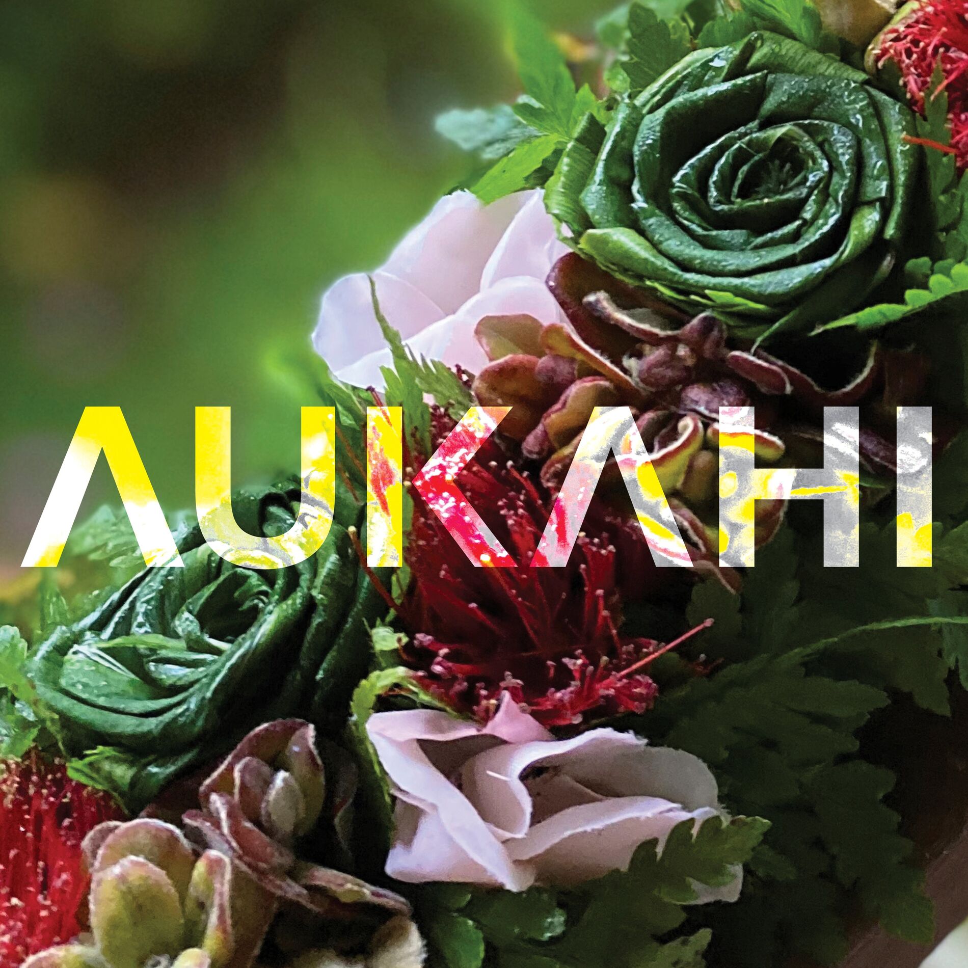 Album cover of Aukahi