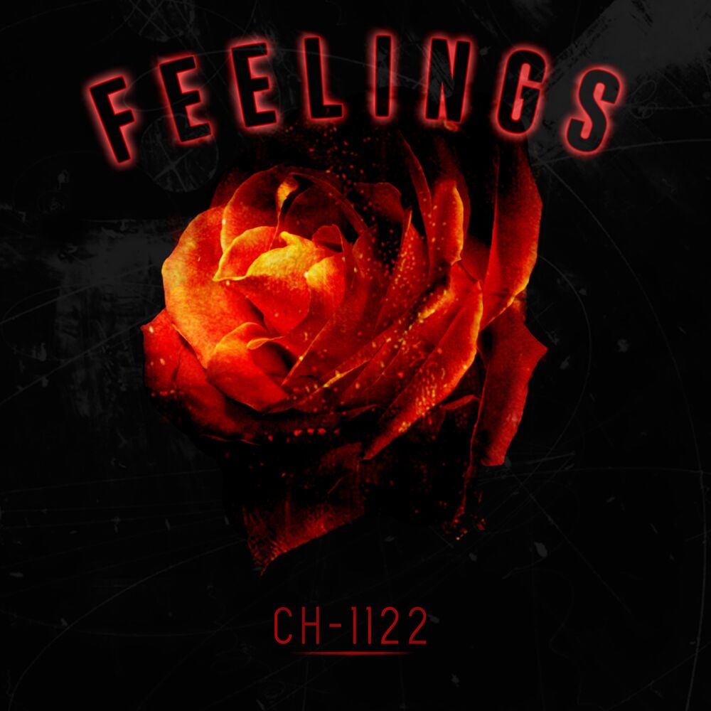 Picture of Feelings