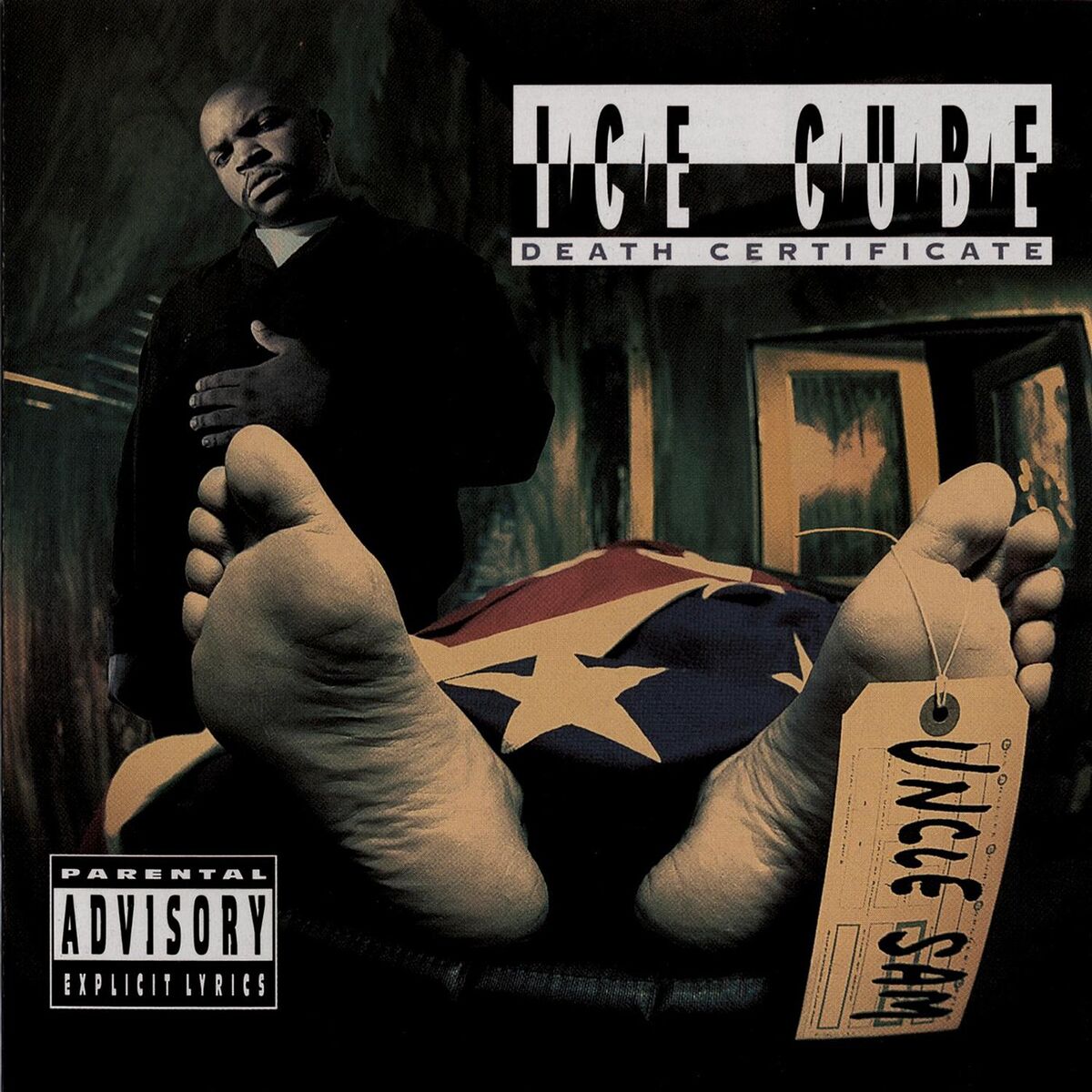 Album cover of The Wrong Nigga To Fuck Wit