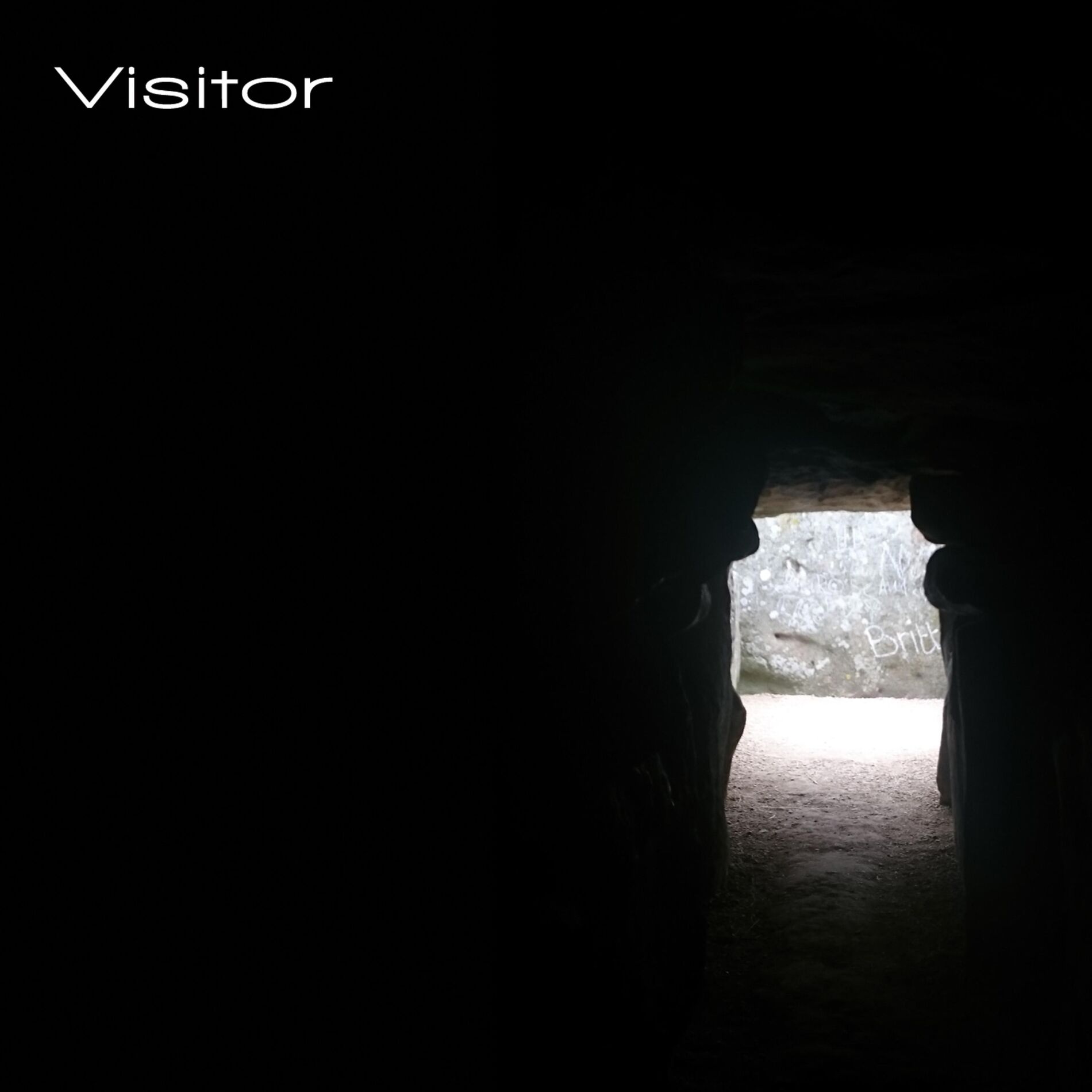 Album cover of Visitor