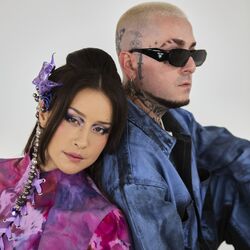 Cover of Solo aquí