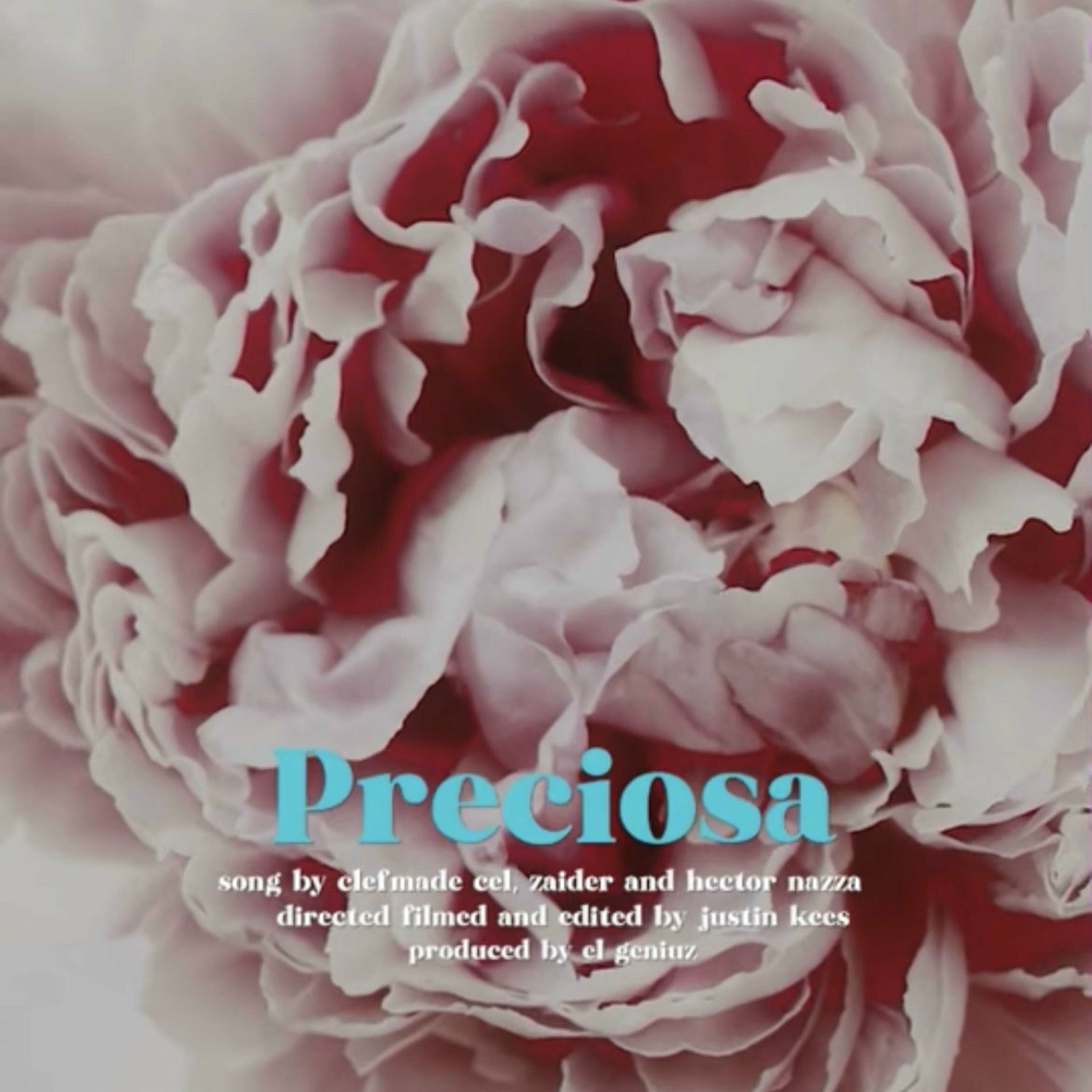 Album cover of Preciosa (feat. Zaider & Hector Nazza)