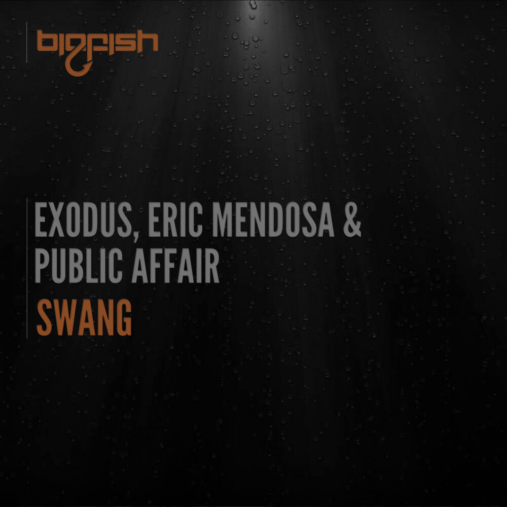 Picture of Swang