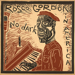 Cover of No Dark In America