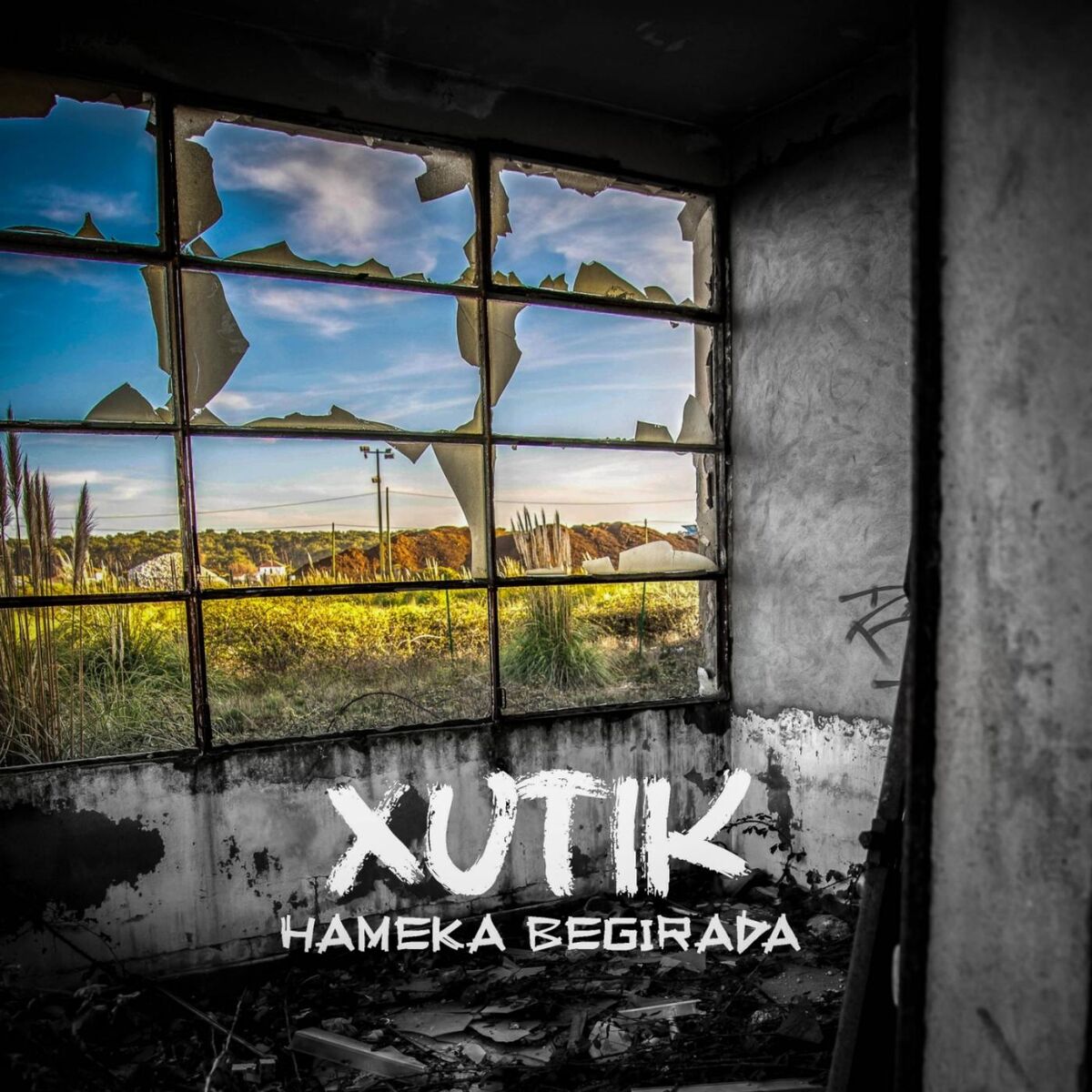 Album cover of Hameka Begirada