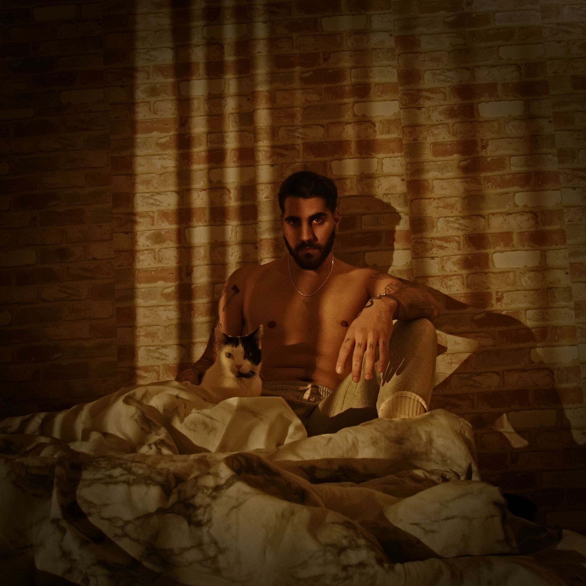 Album cover of Every Night