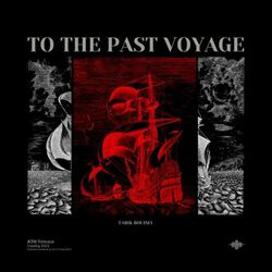 Cover of To the Past Voyage
