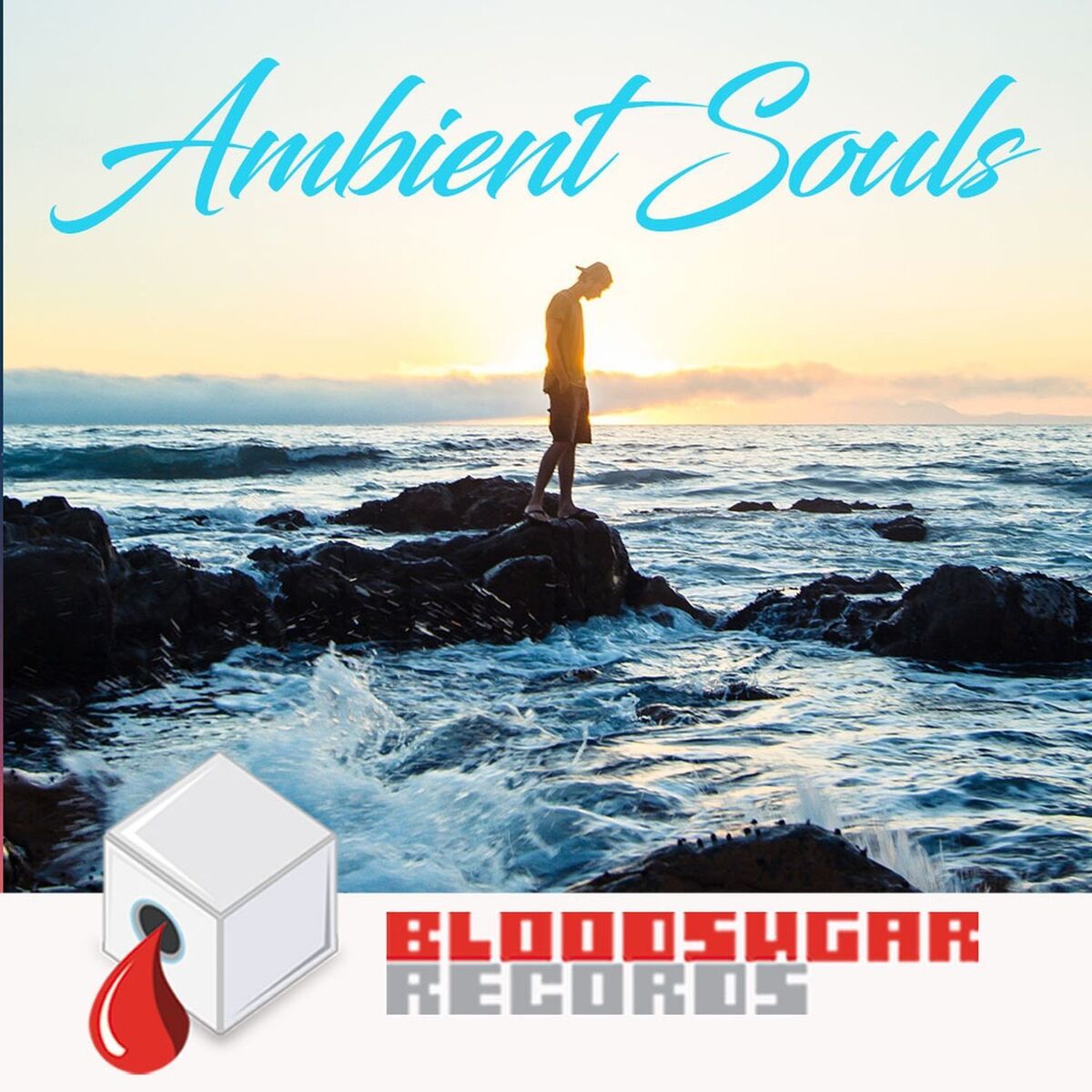 Album cover of Ambient Souls