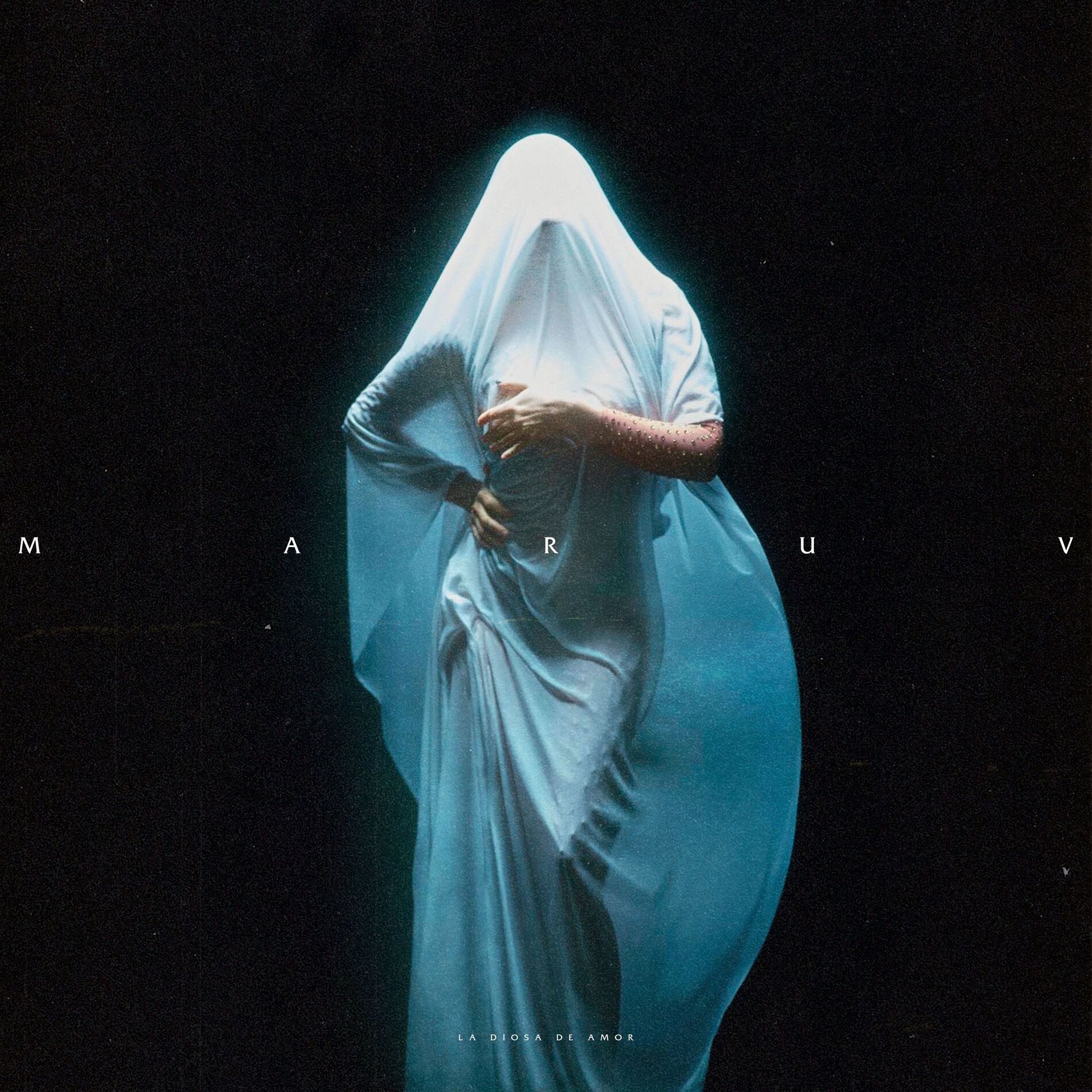 Album cover of La Diosa De Amor