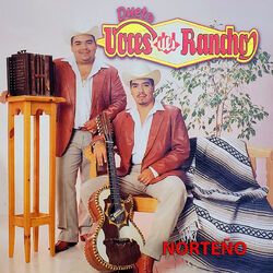 Cover of Los Dos Amigos