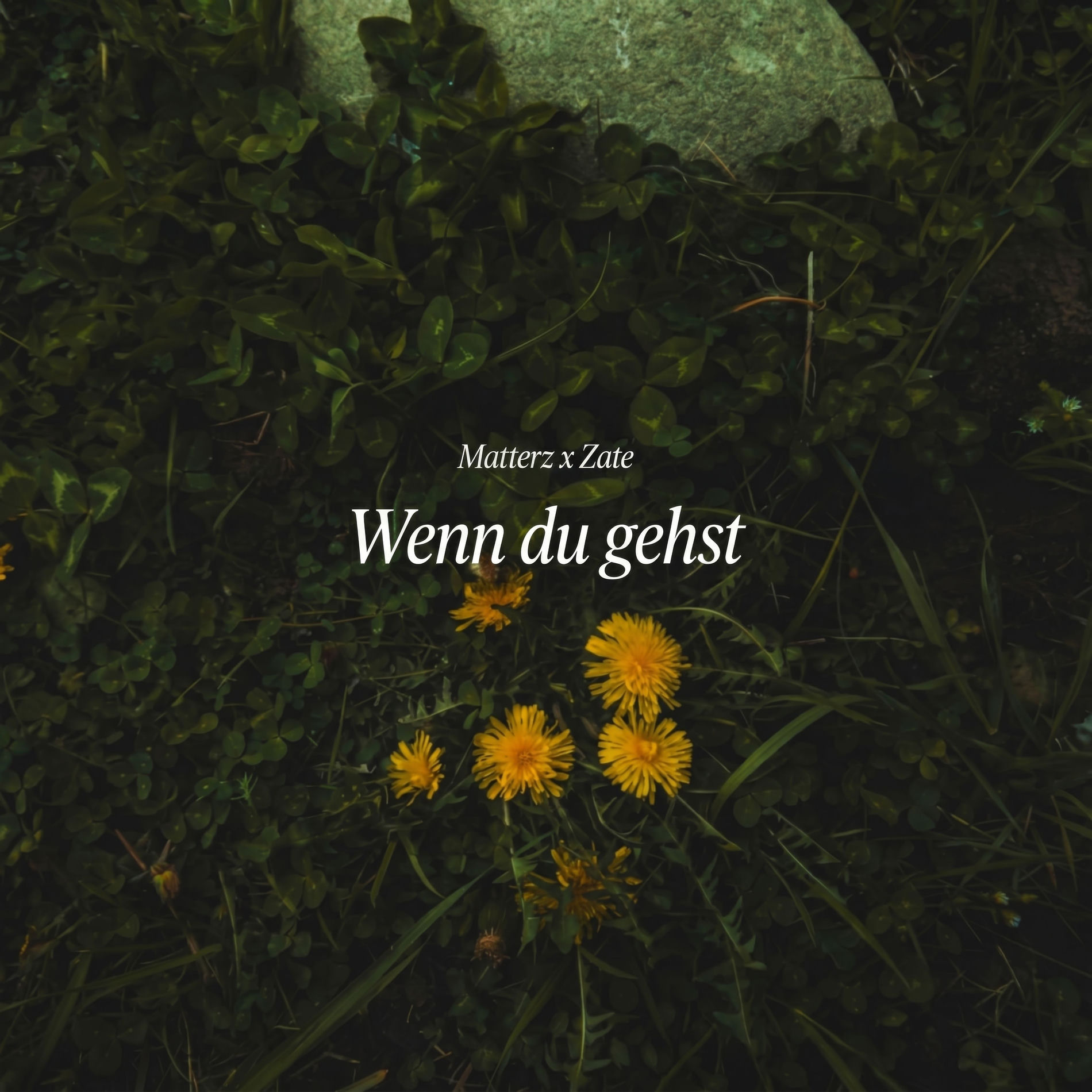 Album cover of Wenn du gehst