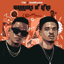 Cover of Warriors Of Afro