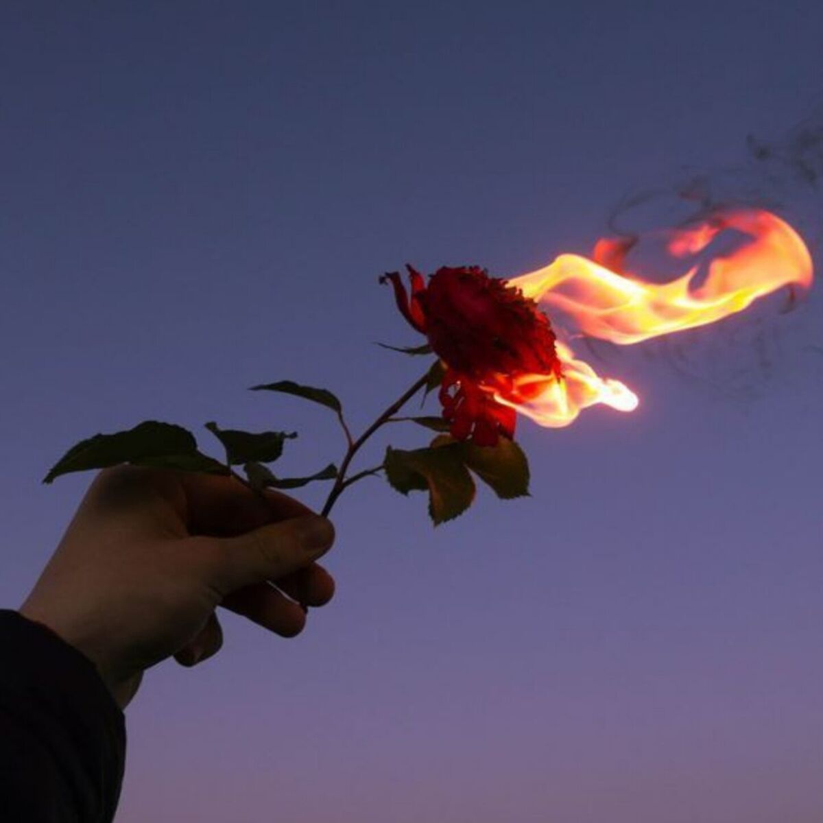 Album cover of A Poesia Cura