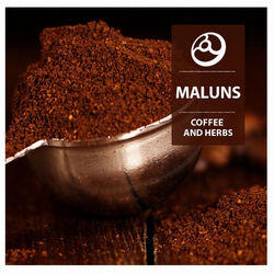 Cover of Coffee And Herbs