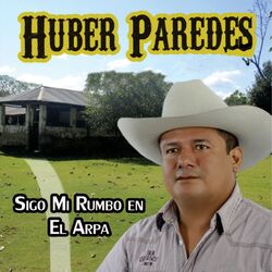 Cover of Sigo Mi Rumbo En El Arpa