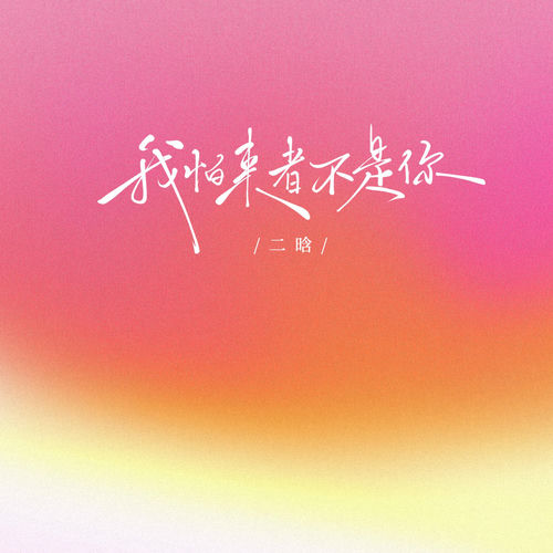 我怕来者不是你 (动感DJ版)