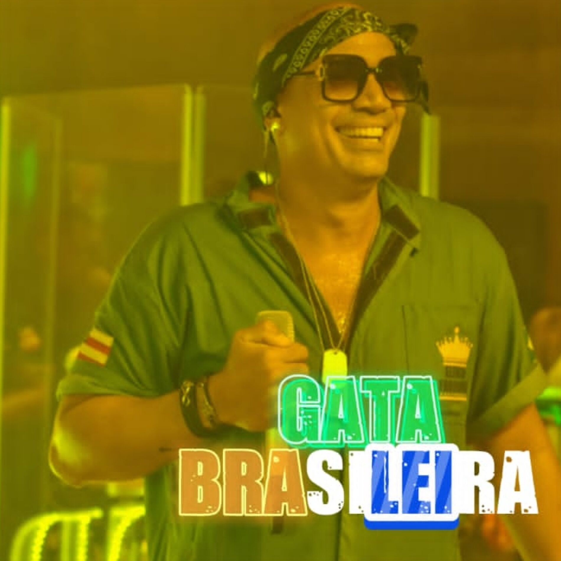Album cover of Gata Brasileira