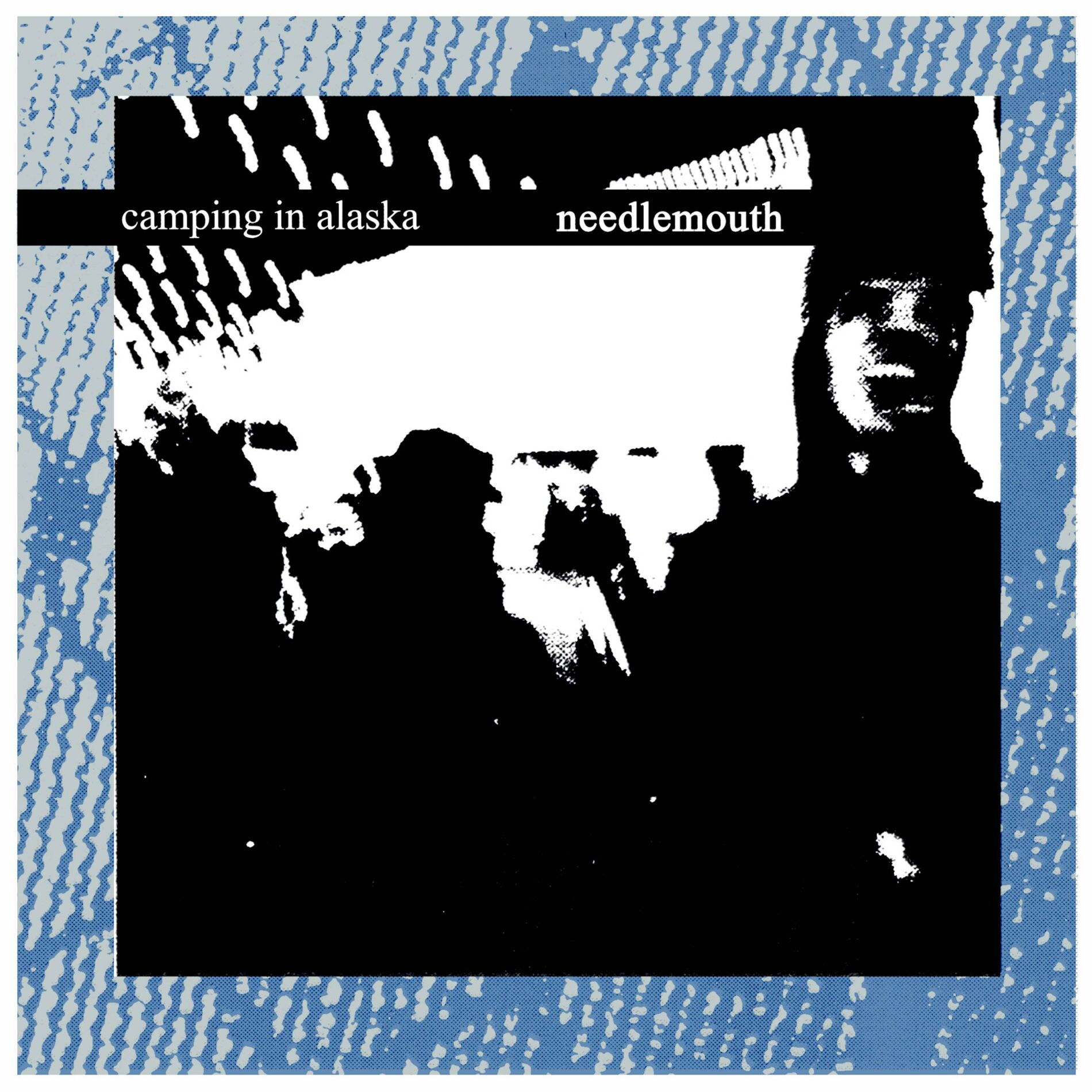 Album cover of Needlemouth