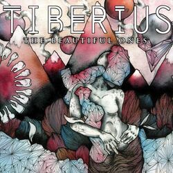 Cover of The Beautiful Ones