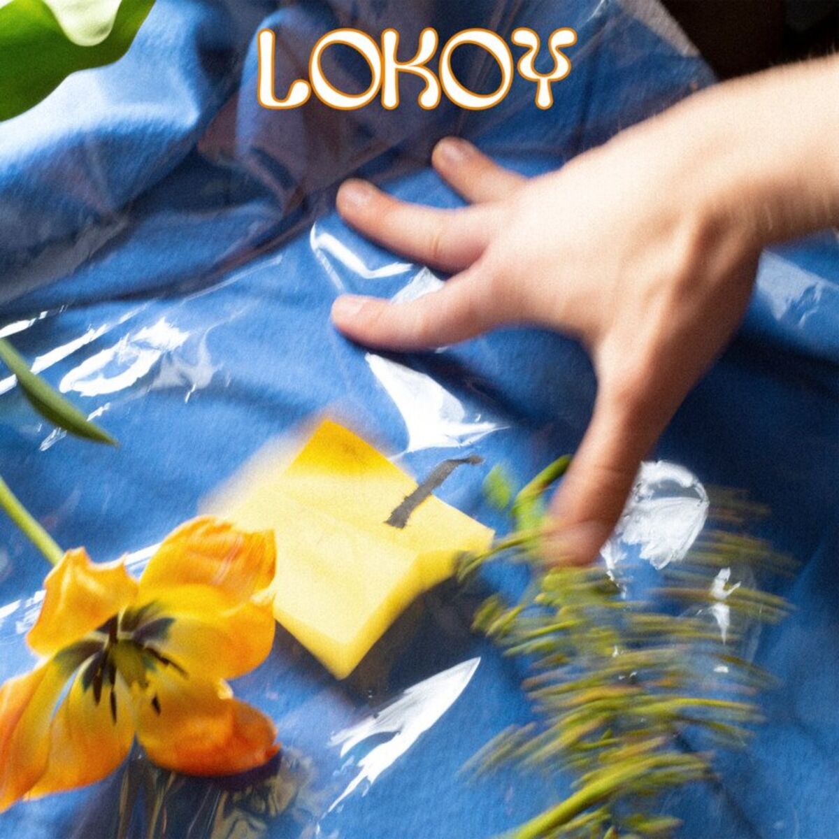 Album cover of limbo