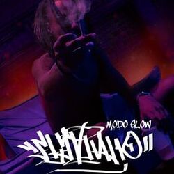 Cover of Modo Slow