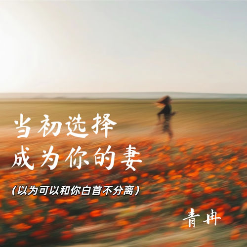 当初选择成为你的妻 (以为可以和你白首不分离)