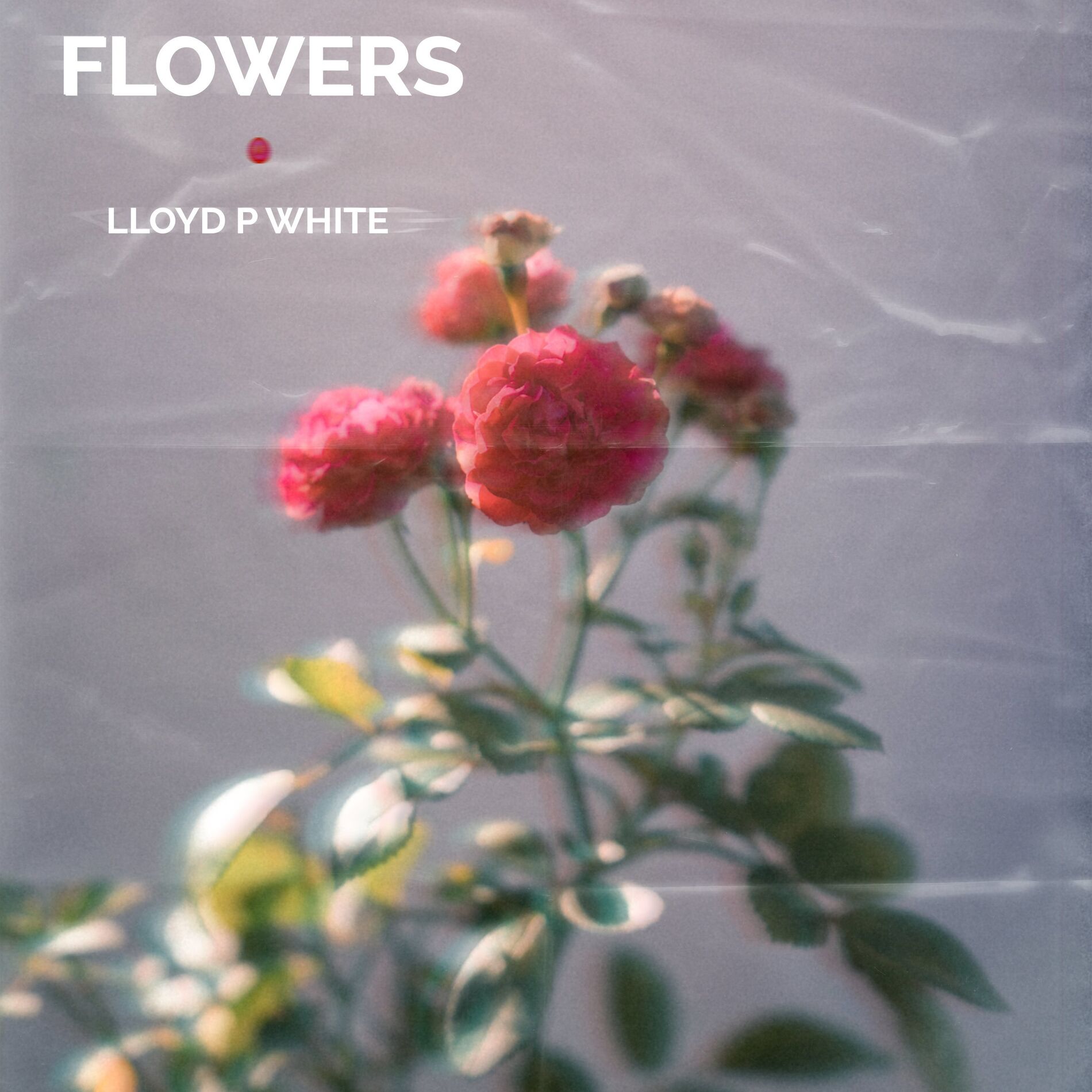 Album cover of Flowers