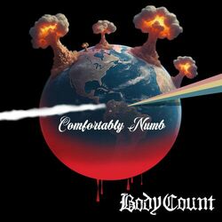Cover of Comfortably Numb