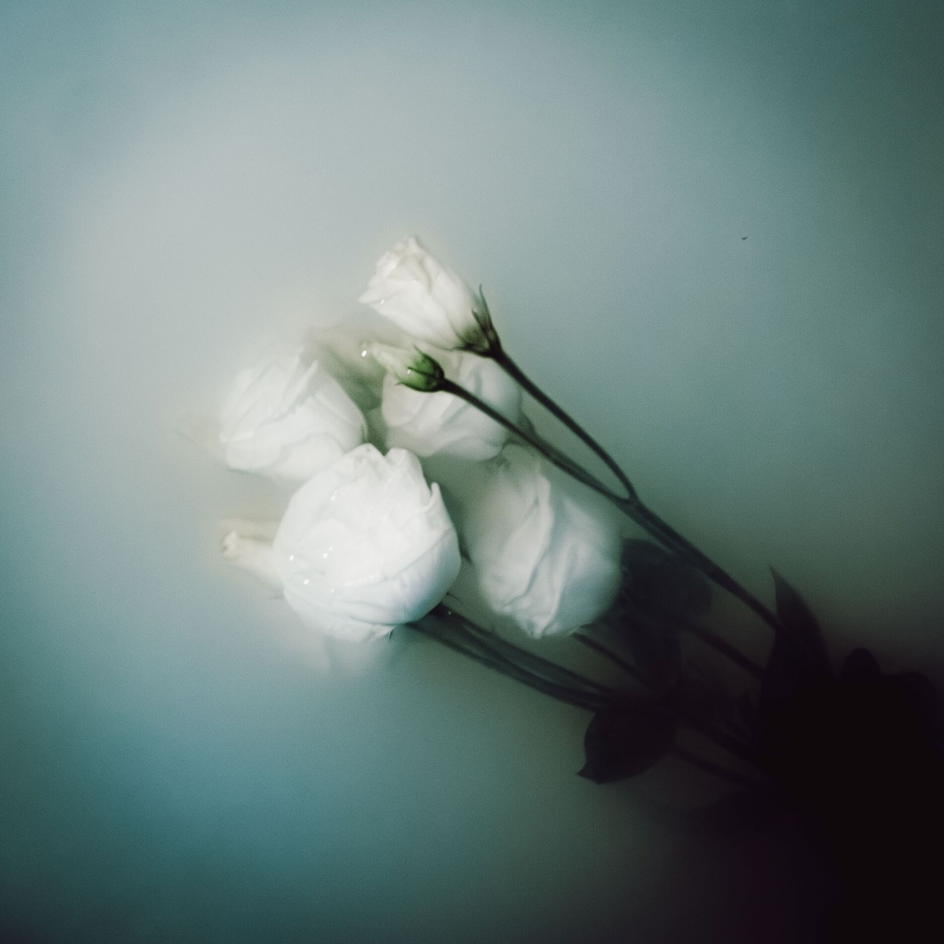 Album cover of Dusk