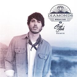 Cover of Diamonds (Cash Cash Remix)
