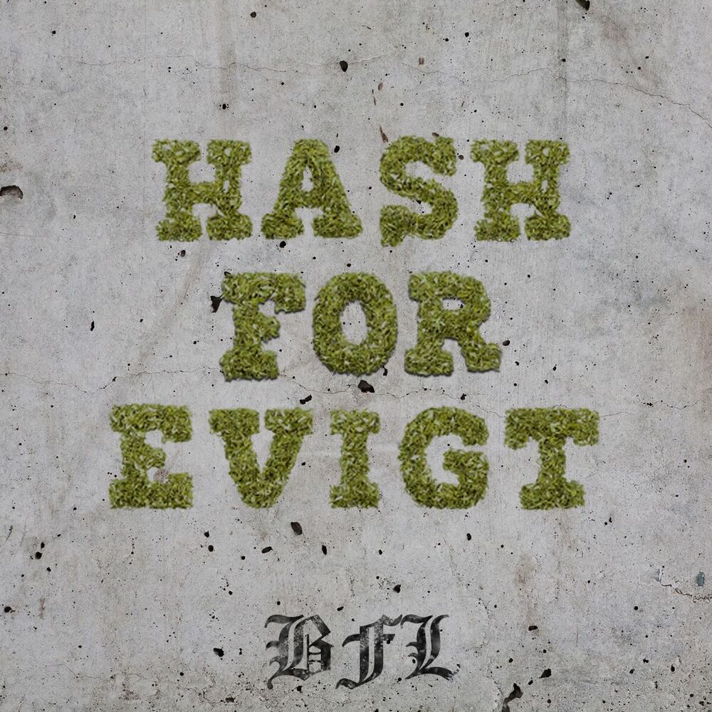 Picture of Hash for Evigt