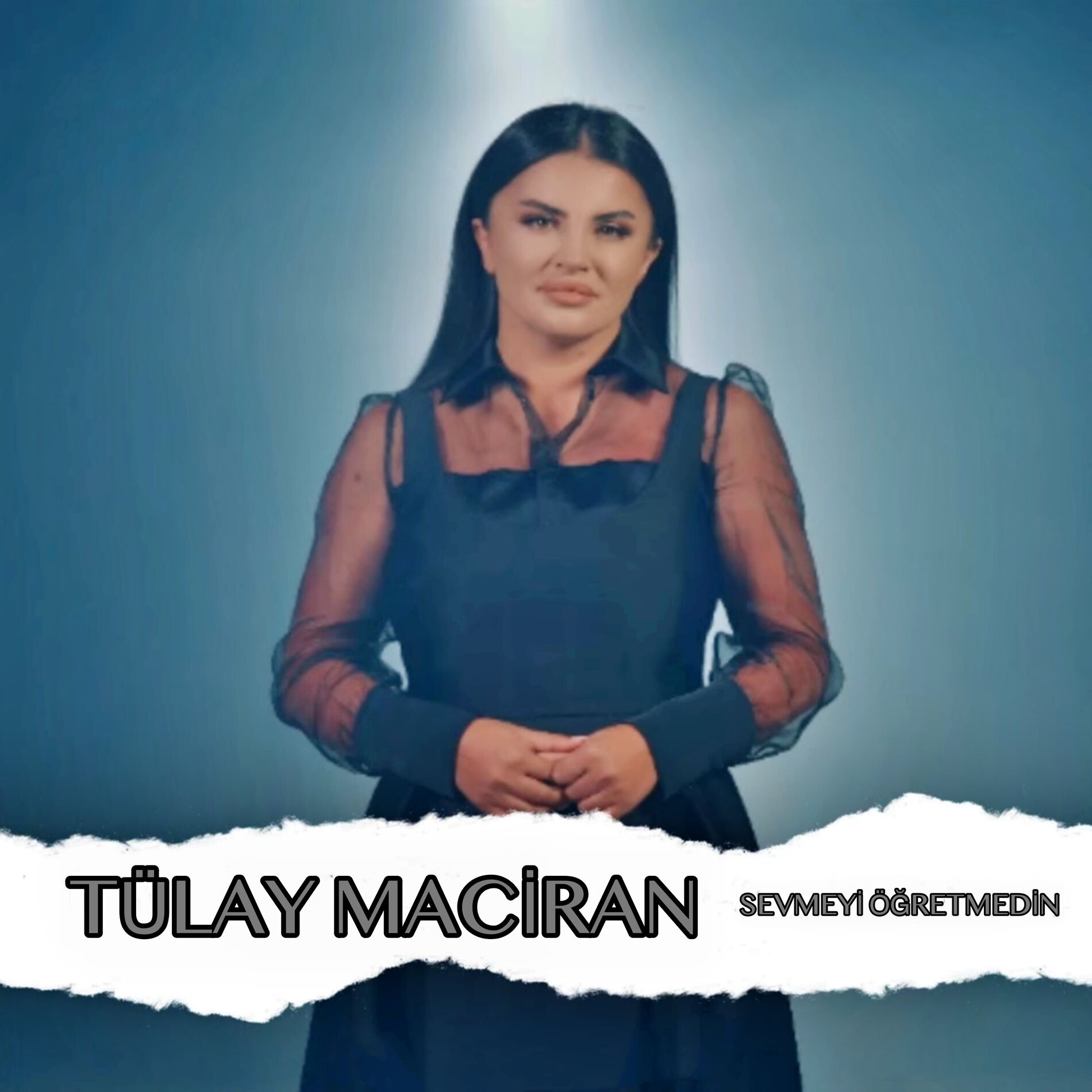Album cover of Sevmeyi Öğretmedin