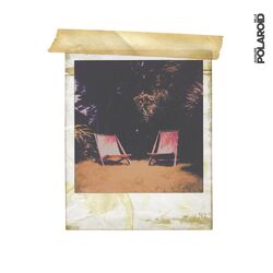 Cover of Polaroid