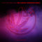 Feel Alright (Strobetek Extended Remix) by Noah Shah album cover