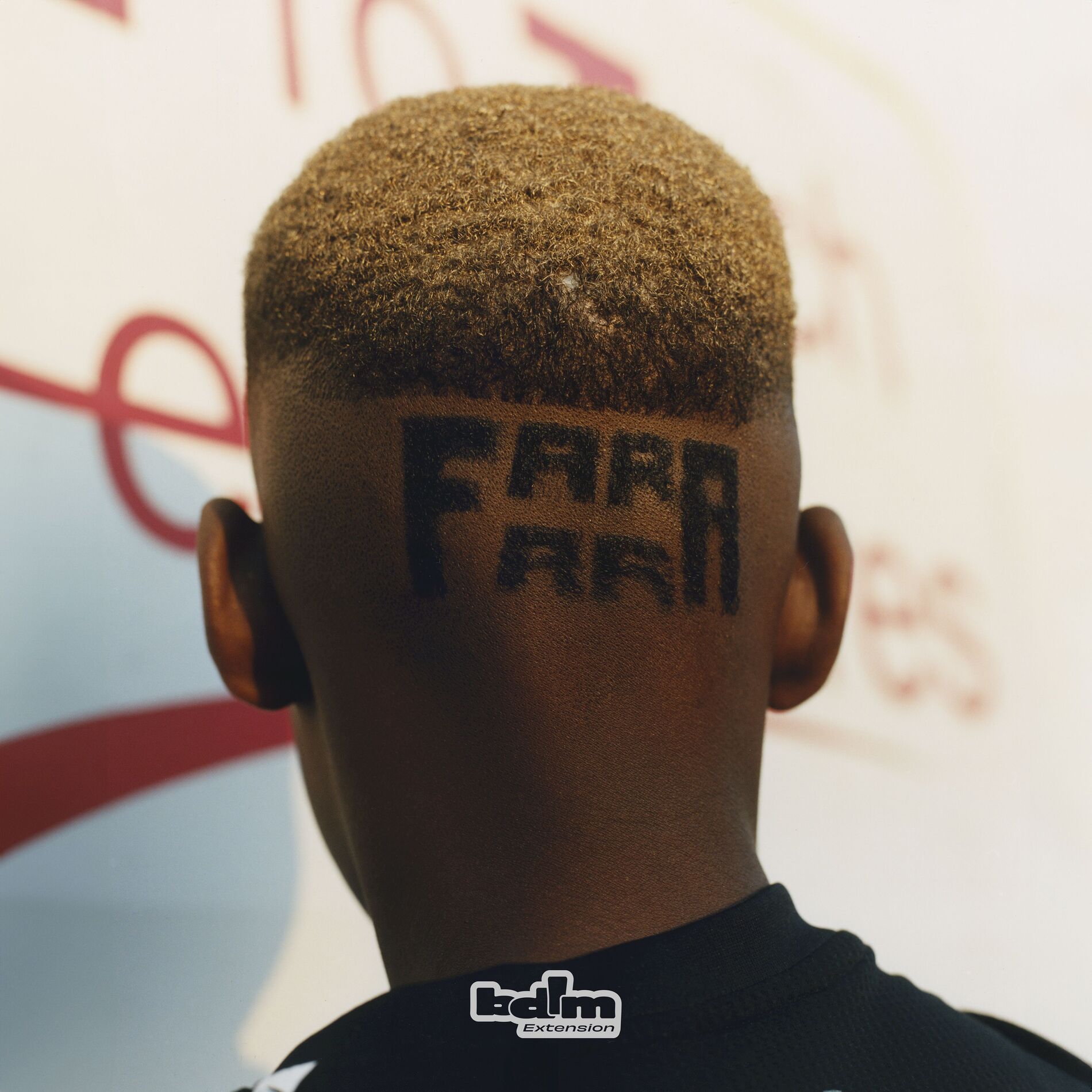 Album cover of FARA FARA GANG
