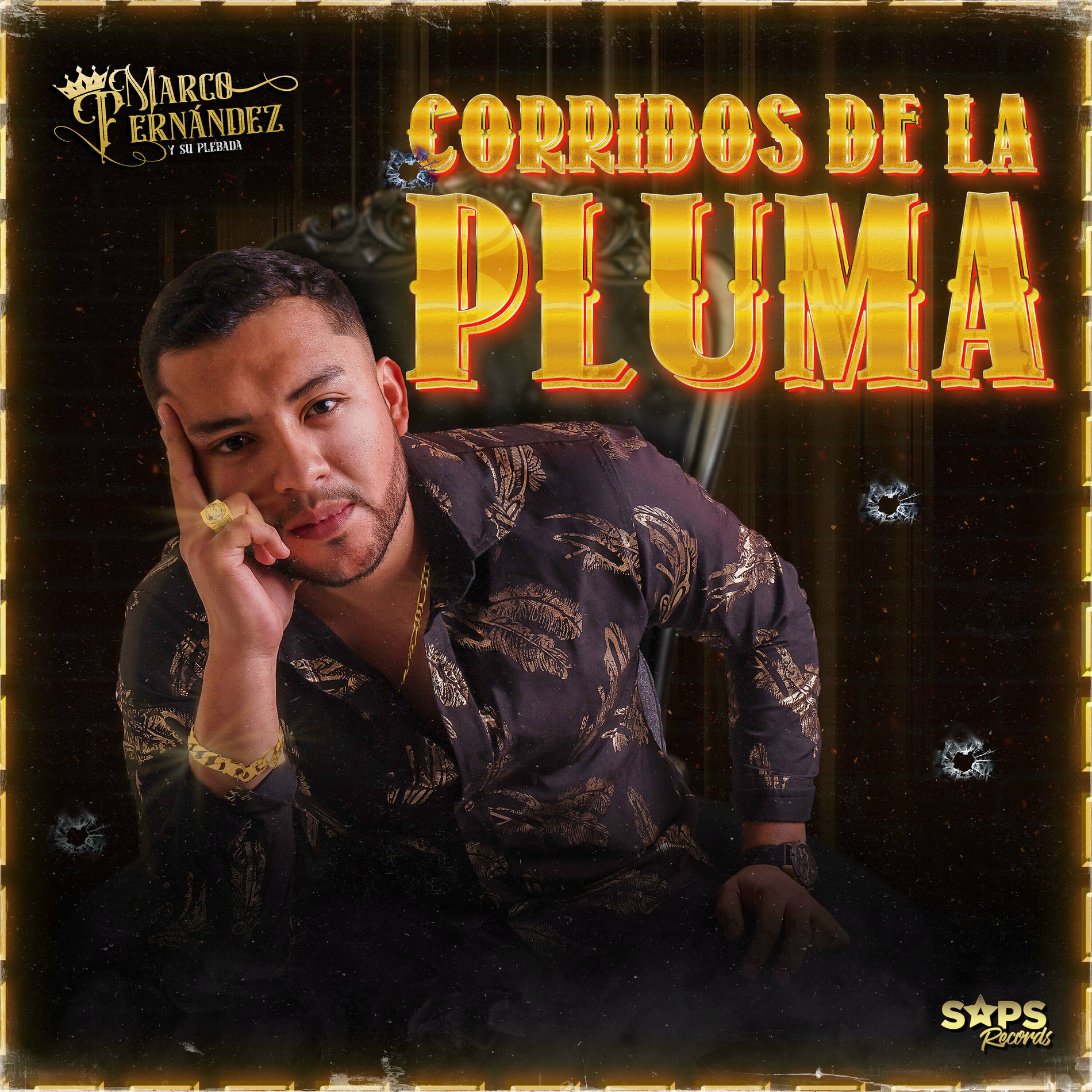 Album cover of Corridos de la Pluma