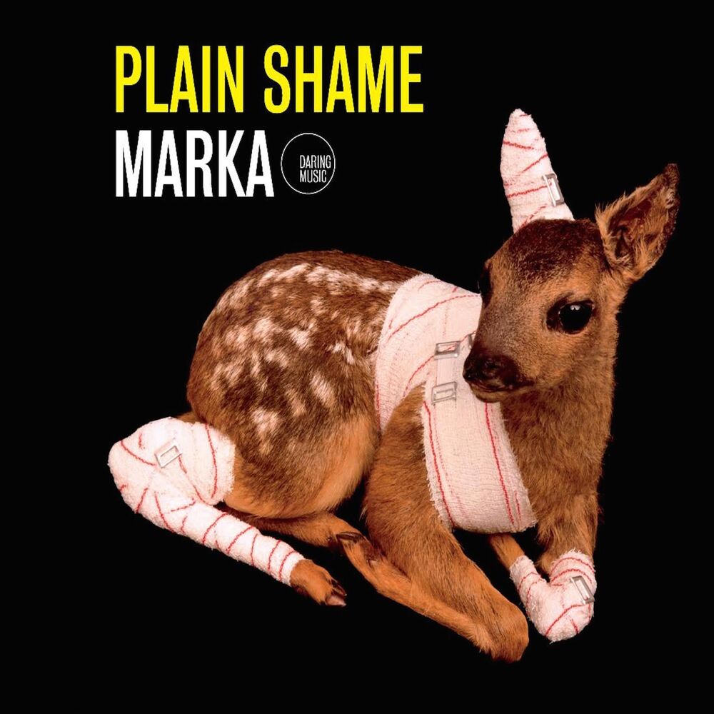 Picture of Plain Shame