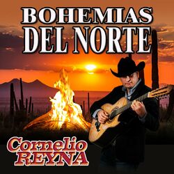 Cover of Bohemias Del Norte