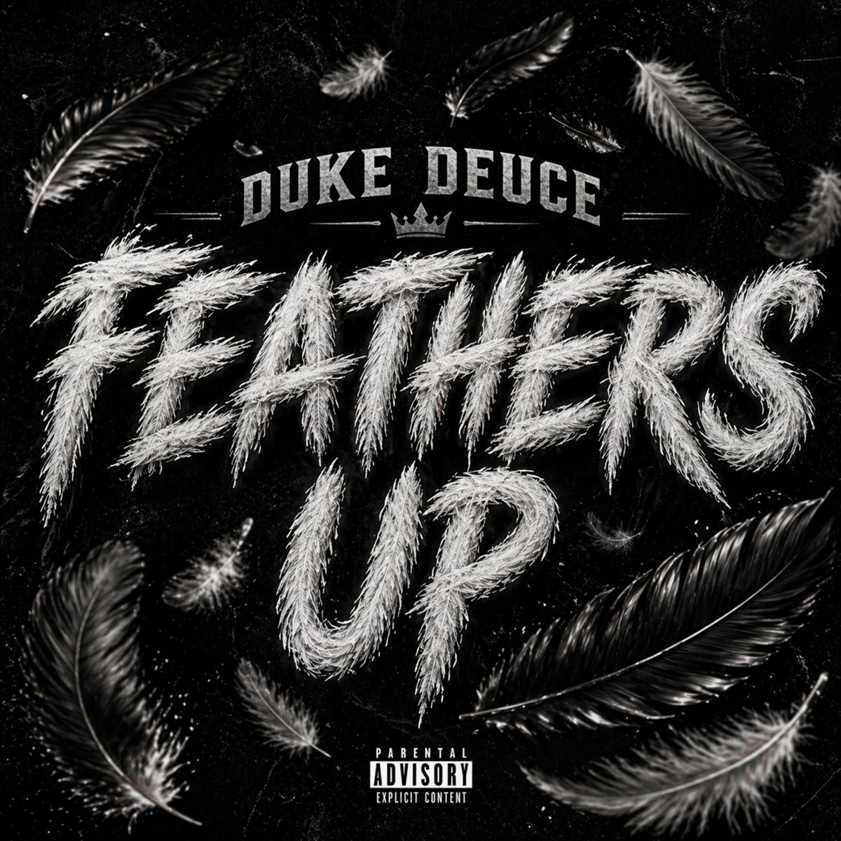 Album cover of Feathers Up