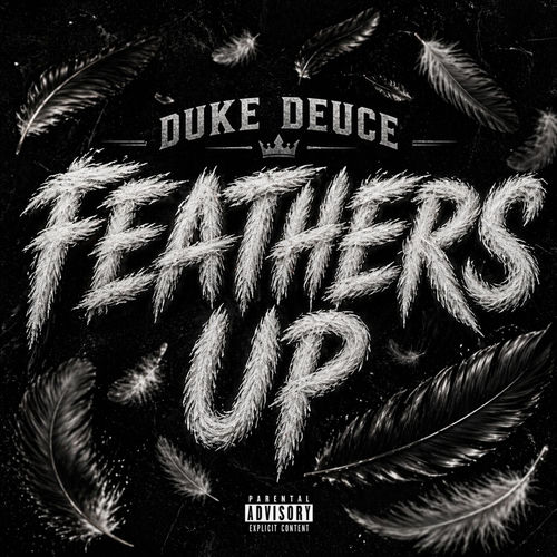 Feathers Up