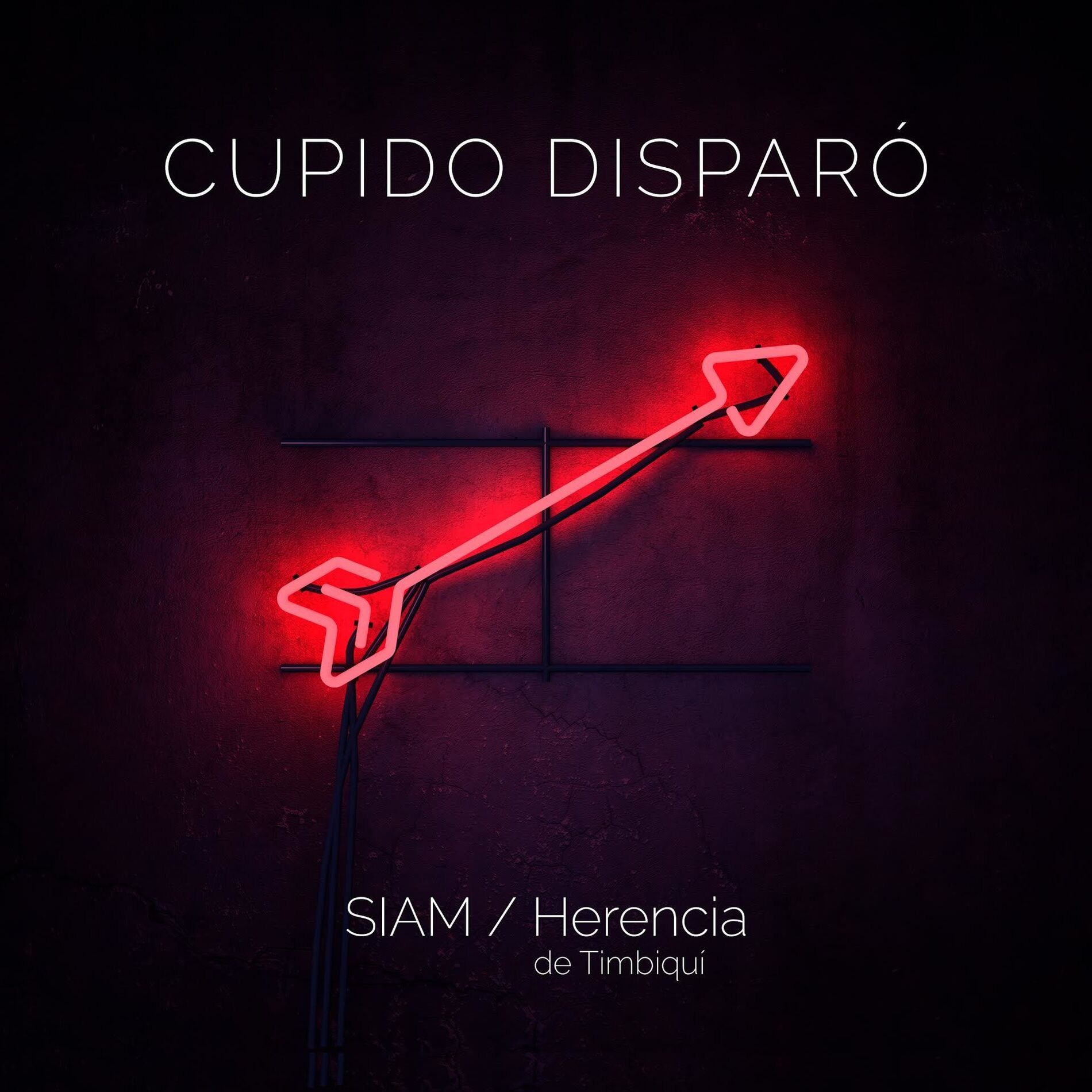 Album cover of Cupido Disparó
