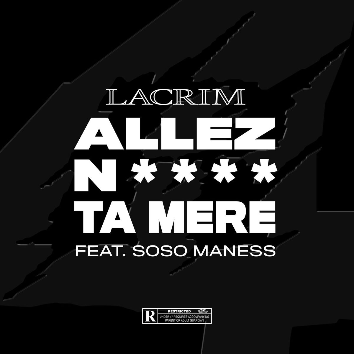 Album cover of Allez nique ta mère