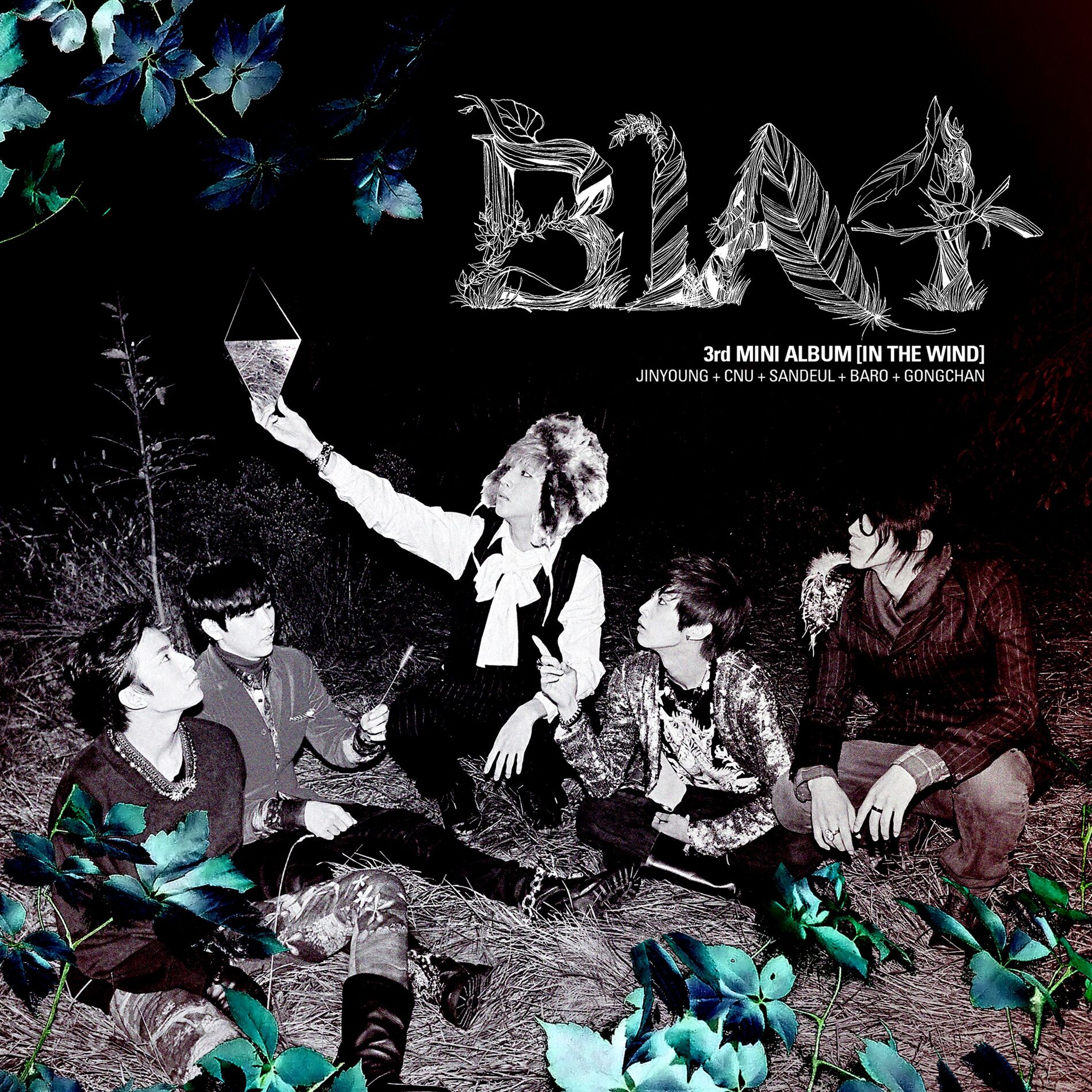 Album cover of IN THE WIND