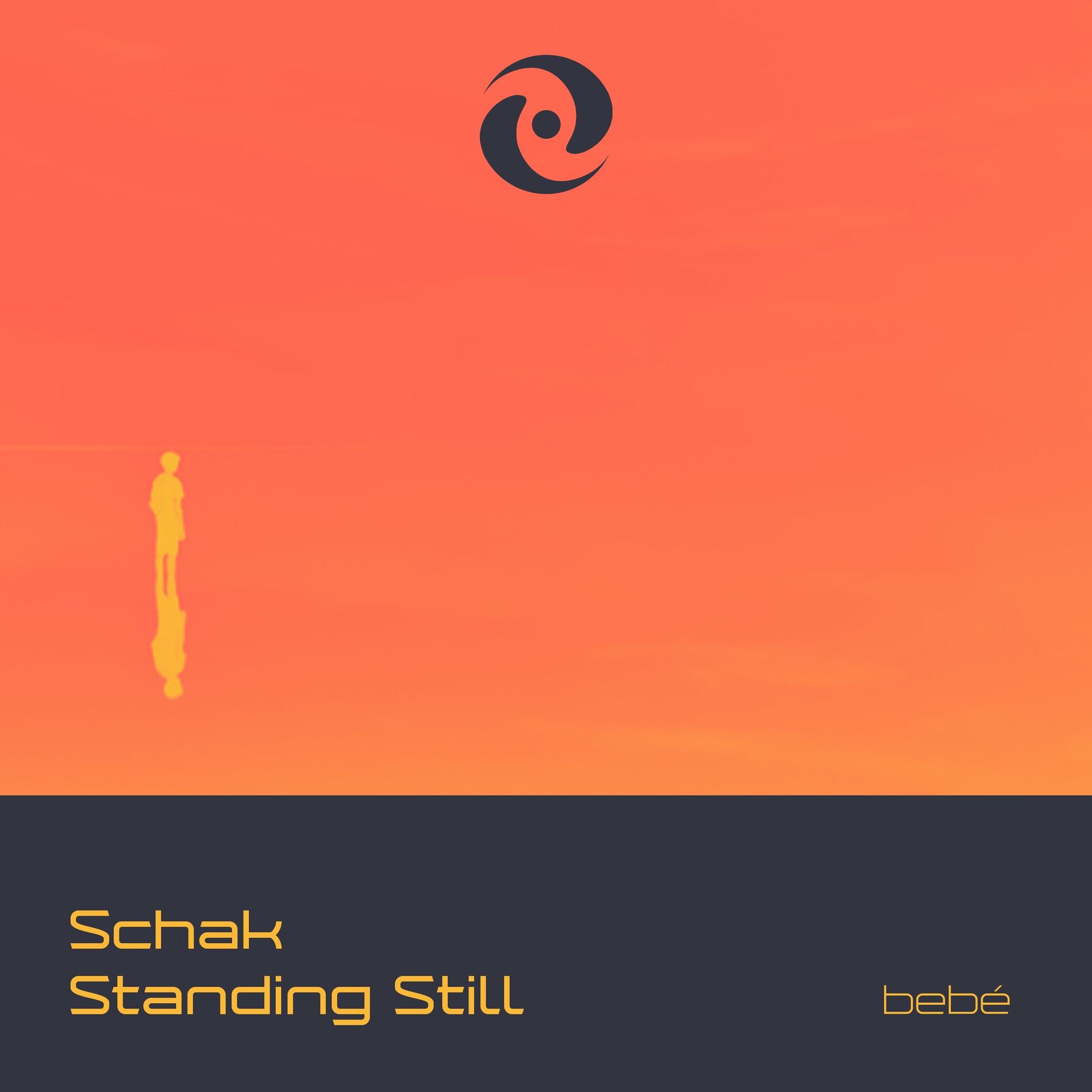 Album cover of Standing Still