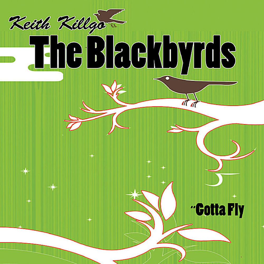 Picture of Gotta Fly