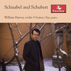 Cover of Schnabel & Schubert