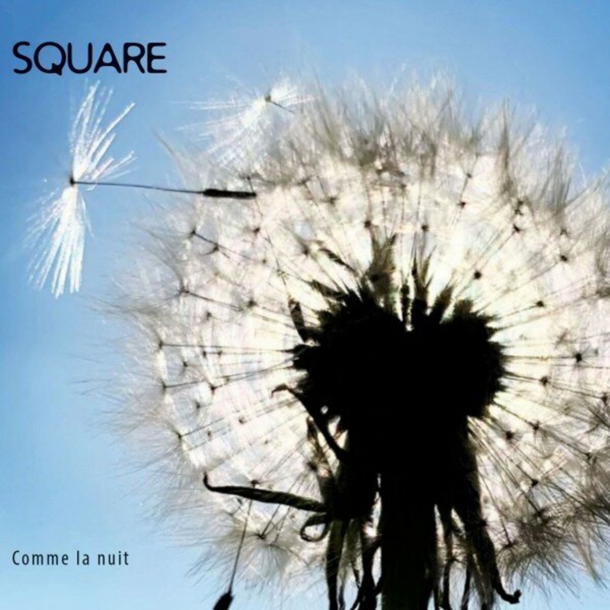 Album cover of Comme la nuit