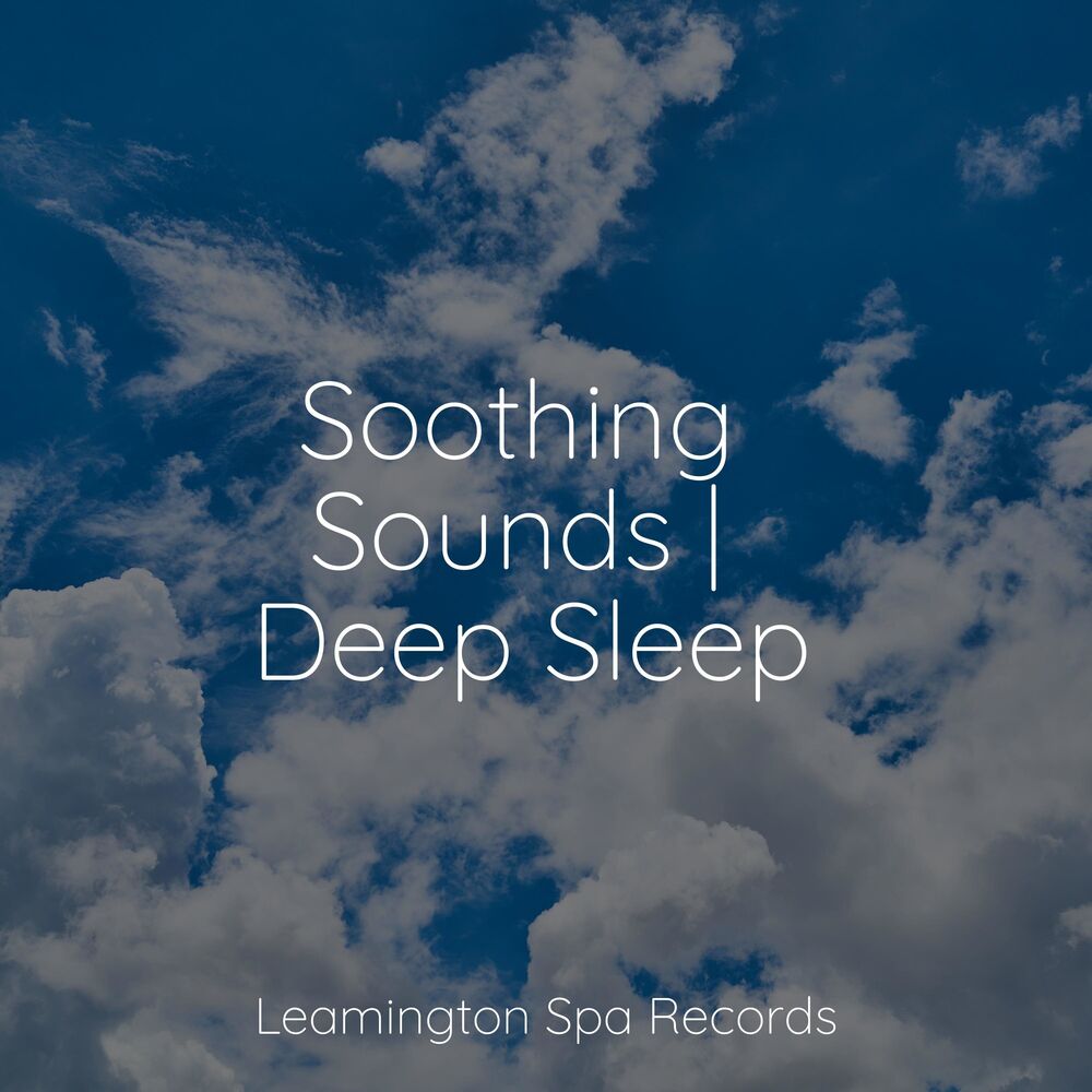 Picture of Soothing Sounds | Deep Sleep