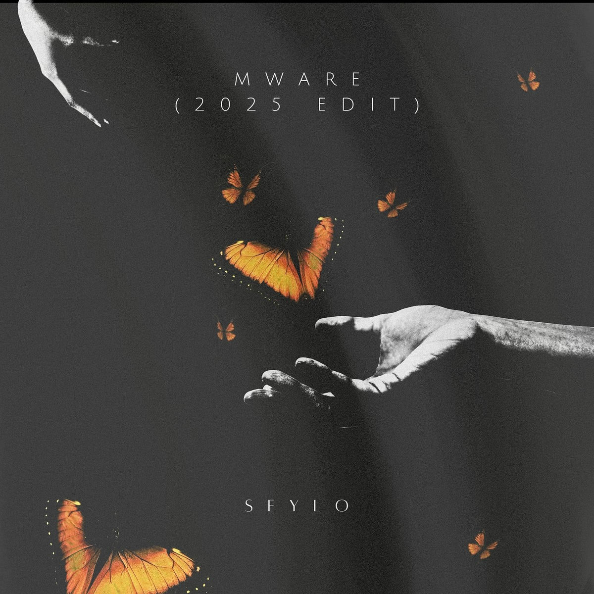 Album cover of Mware (2025 Edit)